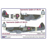 AMLC 2 011  S.Spitfire MK IXC . / 2 варианта декалей : DUoL