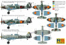 cshq4uovvk_large.jpg