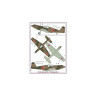 AMLC 2 013  Americans in Stalin's Sky, Часть 5II . / 2 варианта декалей : P- 40K & NA – 73 Mustang Mk.I