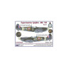 AMLC 2 015 S.Spitfire MK VB, 313Sq - Часть 2. / 2 варианта декалей : RYoD , RYoR