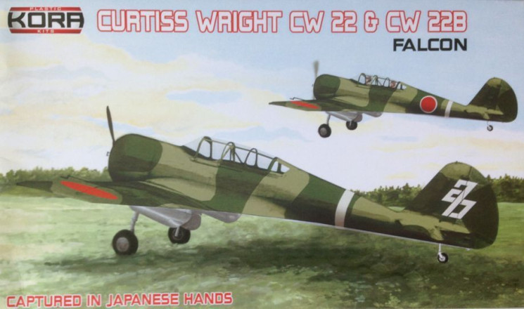 Curtiss Wright CW-22 22 & 22B Falcon Captured by Japans