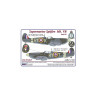AMLC 2 016 S.Spitfire MK VB, 313Sq - Часть 3 . / 2 варианта декалей : RYoK , RYoT