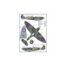 AMLC 2 016 S.Spitfire MK VB, 313Sq - Часть 3 . / 2 варианта декалей : RYoK , RYoT