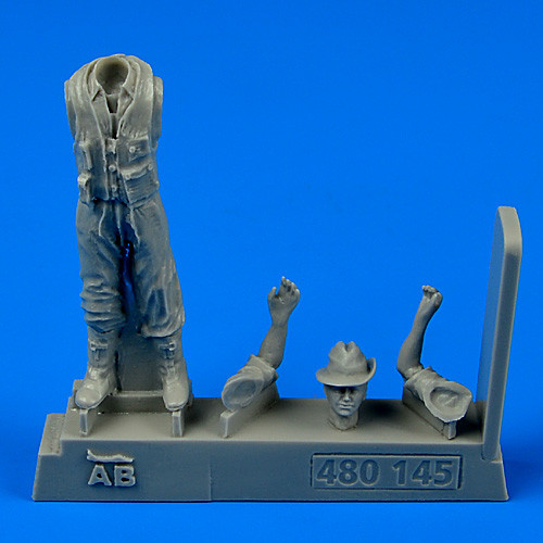 480145  Royal Australian Air Force Fighter Pilot WWII