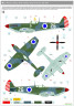 248083 Spitfire Mk.IX