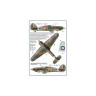 AMLC 2 022 Alois Vasatko - 1st Commander  of Czechoslovak Wing RAF, Part I