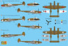 rs72155_03.jpg