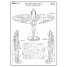 AMLM 33 004 S.Spitfire Mk.I,II The "B" Камуфляж