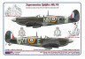 AMLC 2 026 Czechoslovak pilots & dogs of No.310 and No.313 Squadron RAF