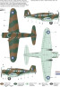 100-SH72329 Northrop Delta_CAMO_A.jpg