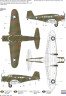 100-SH72329 Northrop Delta_CAMO_B.jpg