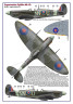 AMLD48040 310 Squadron RAF