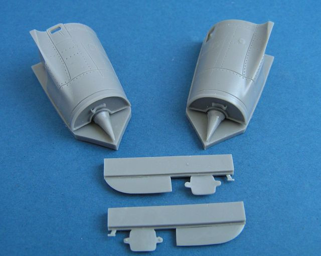 Mirage 2000 engine air intakes with FOD