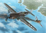 SH72374_P-40N.jpg