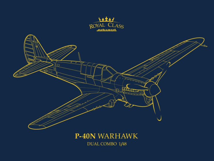 R0025 P-40N WARHAWK ROYAL CLASS DUAL COMBO 1/48