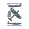 AMLA 72 061 Spitfire Mk.IXe with Germany fuels  Czech AF