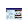 AMLD72009 H.Hurricane СССР, Часть 1