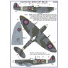 AMLC 8 005    S.Spitfire MK IXC . / 2 варианта декалей : RYoC , RYoE