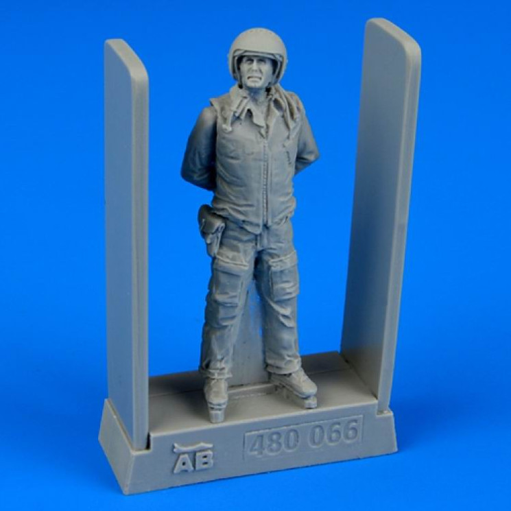 480066  Soviet air force Fighter pilot