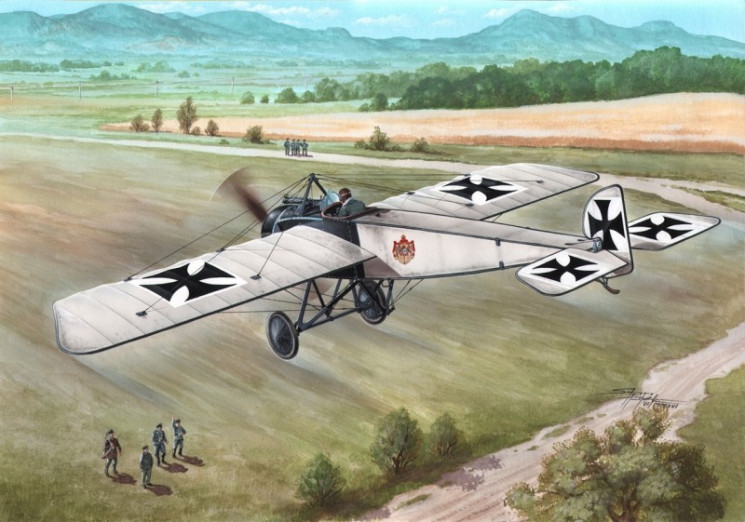 SH48176  Pfalz E.I