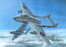 SH72279 Vampire 36d.jpg