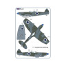 AMLA 72 069 Spitfire Mk.IXe with Germany fuels / Israelian AF