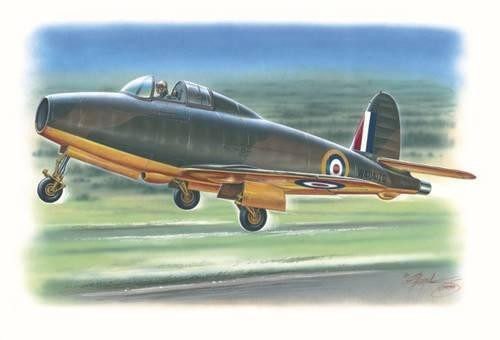 SH48017  Gloster Squirt
