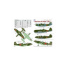 AMLD72020 P-39,P-47,P-51A, Americans in Stalin?s Sky