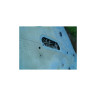 AMLE 80 006 Perforated inside rim