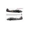 AMLC 8 015 B.Beaufighter - Часть 1. / 3 варианта декалей : WMoE,WMoT,6oY