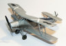 rs72060_06.jpg