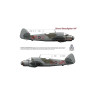 AMLC 8 017 B.Beaufighter - Часть 3 . / 2 варианта декалей : WMoU,BQoI