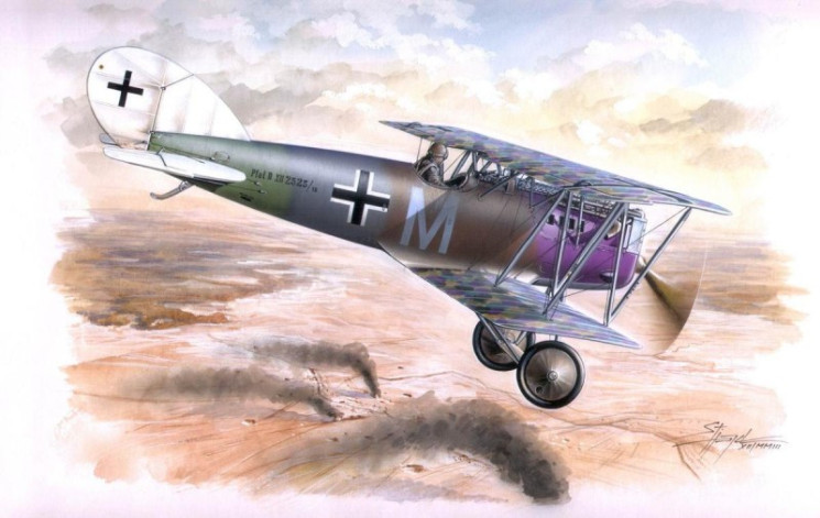 SH48024  Pfalz D.XII  / Late version /