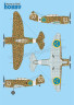 SH48208 J-20/Heja_камуфляж -Hobbymodels