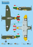 SH48208 J-20/Heja_камуфляж -Hobbymodels