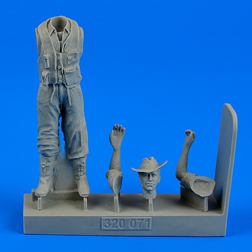 320071  Royal Australian Air Force Fighter Pilot WWII