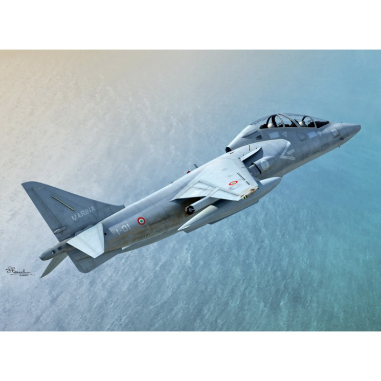 SW72100 TAV-8B Harrier II