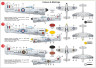 KPM0224 Tempest F.6 „Silver Wings“
