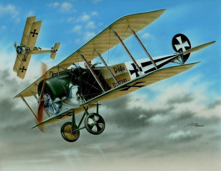 SH48038  Fokker D.II  / Black & White Tails /
