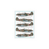 AMLD72033 Curtiss Hawk 81-A2 of  China  AF WWII  (6 вариантов)