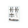AMLD72033 Curtiss Hawk 81-A2 of  China  AF WWII  (6 вариантов)