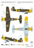 IAR-81 BoPi