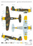IAR-81 BoPi