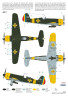 IAR-81 BoPi