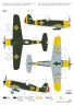 IAR-81 BoPi