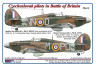 AMLC 8 042 Czechoslovak pilots in Battle of Britain