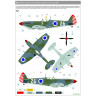 248074 Spitfire Mk.IX