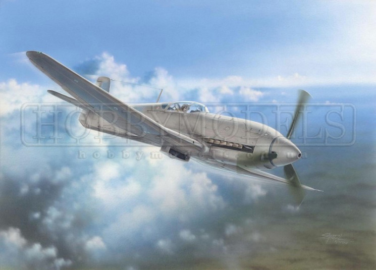 SH32045  Heinkel He 100D  / Soviet and Japanes /