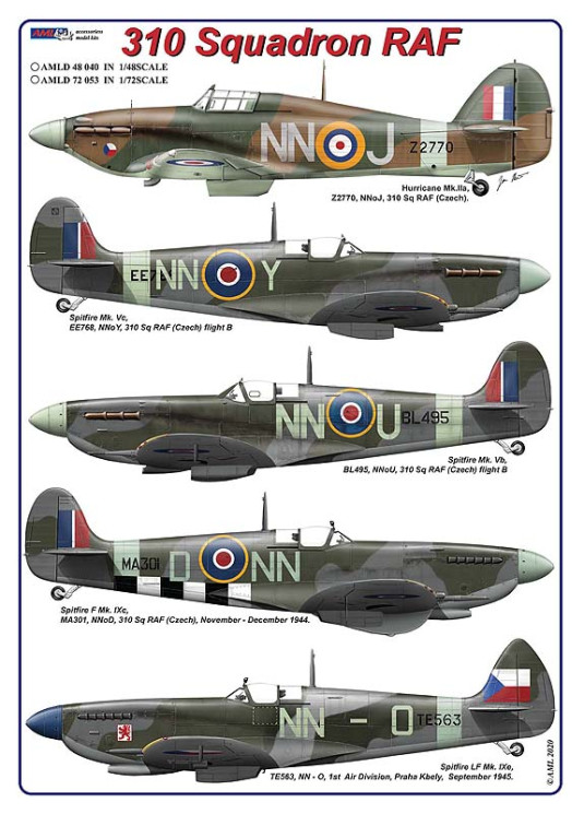 AMLD72053 310 Squadron RAF