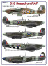 AMLD72053 310 Squadron RAF